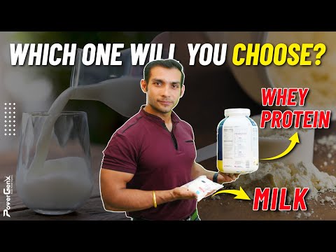 Milk VS Whey Protein | Which One Will You Choose?