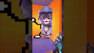 crying cat s077ep14