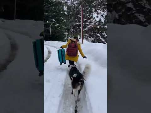 Stark Cabin luggage and backpack.