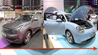 2025 ORA Good Cat vs Neta V: Compact EV Battle - City Electric Cars FULL Walkaround!