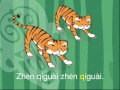 Understanding the Two Tigers