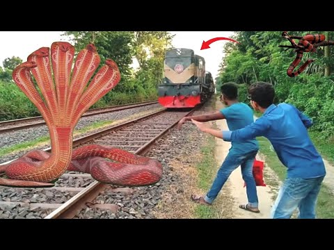 Five Head Snake and Anaconda Stops The Train To Save Baby And Escapes In Train Simulator |