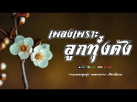 เพลงเพราะ ลูกทุ่งเพลงดัง  //  รวมเพลงเก่าๆมาเล่าให้ฟังใหม่ เพราะๆ ดังๆ