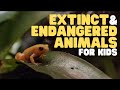 Endangered Species and Extinction Causes
