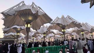 Madina shareef ki chatri khul rhe hai fazar k time #madina #viralvideo #vlog #youtube #yt 