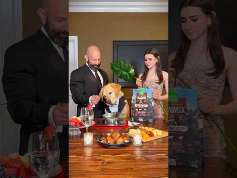 I forbid you to leave my side,an order from the dog king #shorts #youtubeshorts #animals #pets #dog