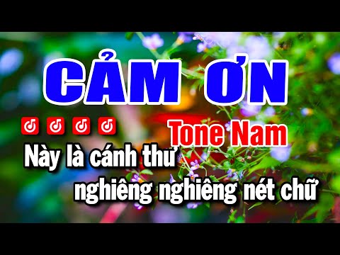 Karaoke Cảm Ơn – Nhạc Sống Tone Nam – Beat Huỳnh Anh