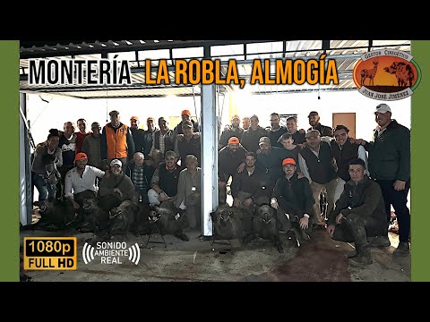 MONTERÍA LA ROBLA, ALMOGÍA 2024 | G.C. JUAN JOSÉ JIMÉNEZ | ESPECTACULAR RESULTADO EN FINCA ABIERTA