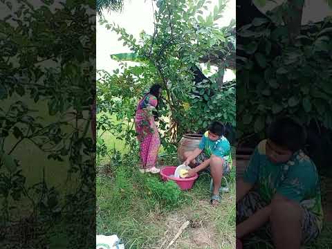 คือใช่ล้างจานกับถ้วยดีแท้  #funny #haha #คนไทยเป็นคนตลก55555