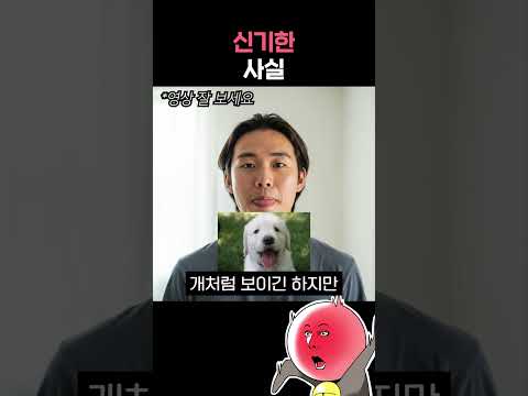 절대 예측 못하는 신기한 사실이라고? ㅋㅋㅋ