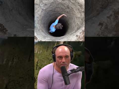 Lost Treasure Found: The Curse of Oak Island Exposed! 🏝️ - Joe Rogan