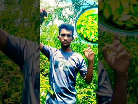 top 6 bride ๐ฆ beautiful sounds shorts video#viral short #music