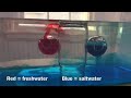 Thermohaline Circulation and Water Density