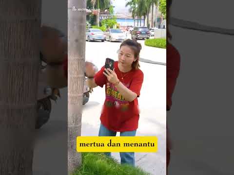 Menantu syalfia #drama #dramachina #dramachinasubtitleindonesia #fyp #dramamenantusyalfia
