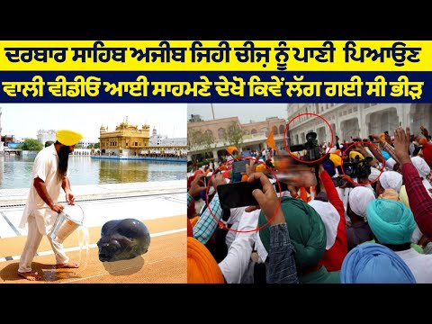 ਦਰਬਾਰ ਸਾਹਿਬ ਅਜੀਬ ਜਿਹੀ ਚੀਜ਼ ਨੂੰ ਪਾਣੀ  ਪਿਆਉਣ ਵਾਲੀ ਵੀਡੀਓ ਆਈ ਸਾਹਮਣੇ ਦੇਖੋ ਕਿਵੇਂ ਲੱਗ ਗਈ ਸੀ ਭੀੜ