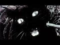 Drumcorps - The Importance of Stealth