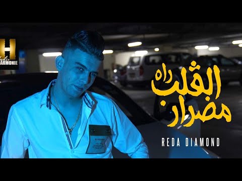Reda Diamand El Galb Rah Madrar [Official Video] (2023)/القلب راه مضرار avec Mito