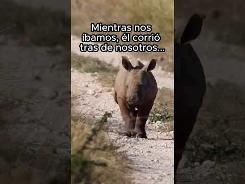 Animales merecen amor ❤️