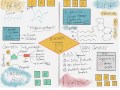Biological Molecules and Their Functions