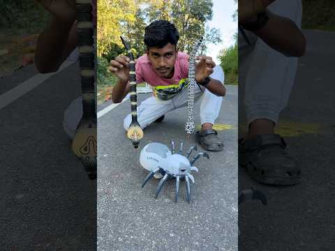 Remote Control Makadee and Rc Snake #rcsnake