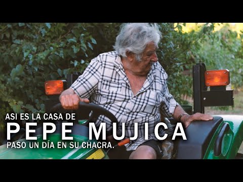 Entro a la CASA de PEPE MUJICA. Me muestra COMO VIVE y su rutina con gallinas, flores y tractores.