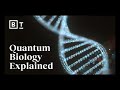 Quantum Biology and Its Implications