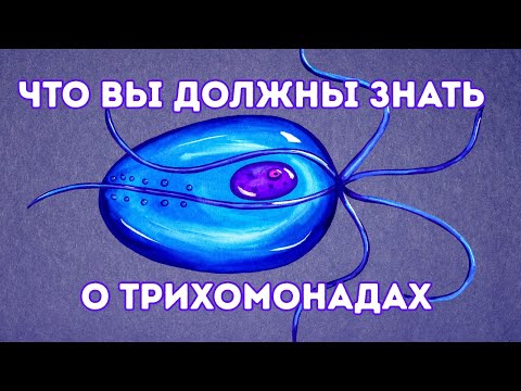 Что вы должны знать о трихомонадах #трихомонады #трихомониаз #доказательнаямедицина