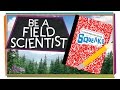 Exploring Nature with a Field Journal