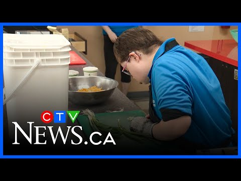 YouTube video thumbnail: Non-Profit Helps Build Better Futures