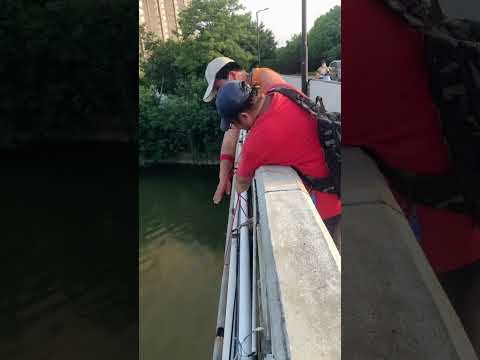 Unbelievable caught a school of fish throwing net from the bridge