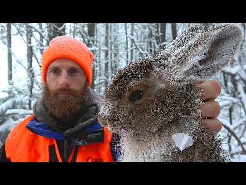 Hunting Rabbit in a 'Beautiful Snowy Forest' - Bushcraft Cooking Over Fire ASMR (Silent)
