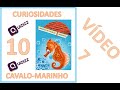 Interação e Comportamento dos Cavalos-Marinhos