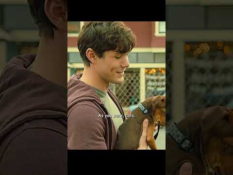 I have a home now#shorts