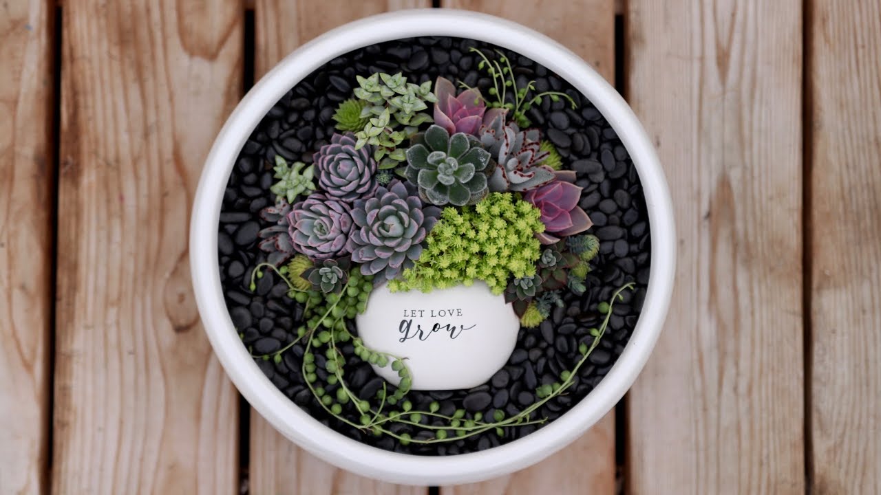 Succulent Pot in a Pot!