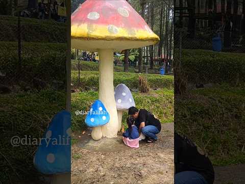 Alifah Cari Kelinci Sampai Kehujanan #shorts #youtubeshorts #viralvideo #trending