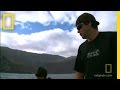 Understanding Predator Behavior