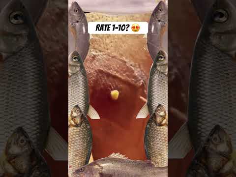 Wow! #pimple #pimples #pimplepopping #shortsfeed #shortvideo #shorts #short #youtubeshorts #youtube