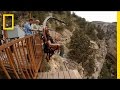 Stunt Reactions and Challenges