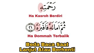 Cara Waqaf (Berhenti) Pada Ha Dhomir Kasroh Berdiri dan Dommah Terbalik + Contoh dan Prakteknya
