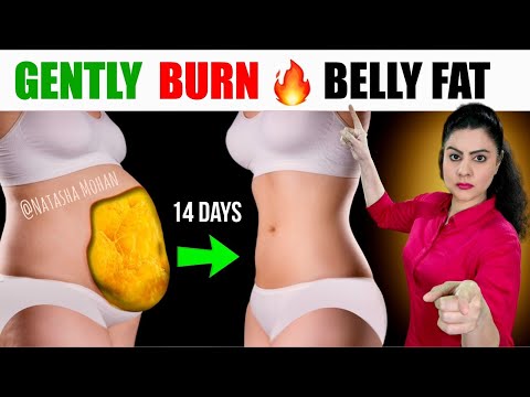 Easy Gentle Exercises To Burn Belly Fat In 14 Days | Beginners Standing Belly Fat Workout No Jumping