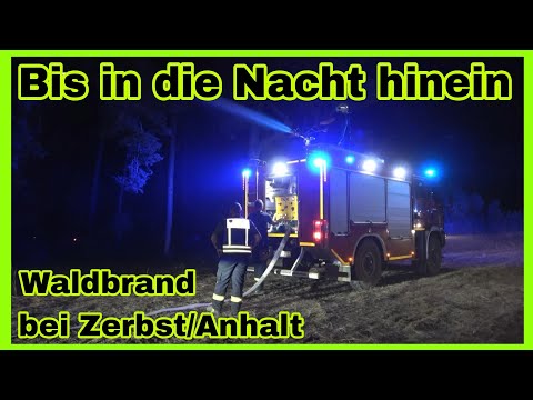 🔥WALDBRAND Jütrichau Anhalt-Bitterfeld🆘️LÖSCHARBEITEN in der Nacht🔥Fachdienst BRANDSCHUTZ rückt an🚒