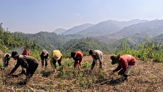 ทำงานร่วมกันเหมือน 4-5 ปีก่อน 30 มีนาคม ค.ศ. 2026