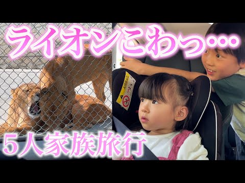 【旅行２日目】ドン引きあり笑いありの群馬サファリパークが最高すぎた!!!!