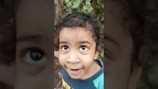 మంచి ఆకుల చెట్టు 🤣😂 #funny #funnyvideo #trending #viral