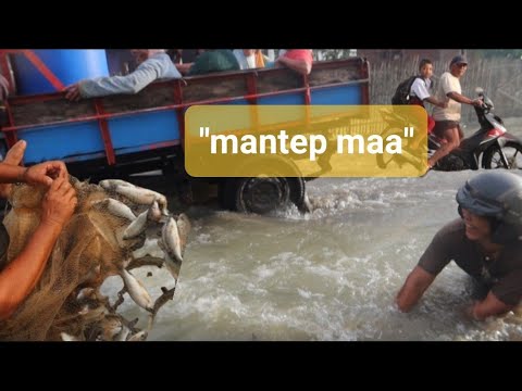 Venomena ALAM!baru 2bula kini banjir besar lagi/ga ngira ditumpukan rumput kering banyak ikan gasah