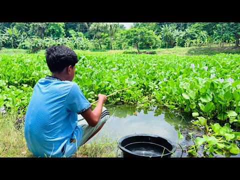 Fishing Videos || Asian Boys Catching Fish By Hook In The Village River New Water || #Amazingfishing