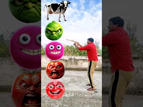 white and black cow black buffalo dog goat lion funny VFX magic video #shortsfeed #funny