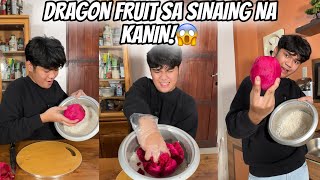 MAG LAGAY KAYO NG DRAGON FRUIT PAG MAG SASAING KAYO!!?