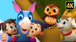 Old MacDonald Had a Farm - Animal Sounds Song - Nursery Rhymes & Kids Songs