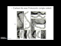 Origins of Life and Evolution Concepts
